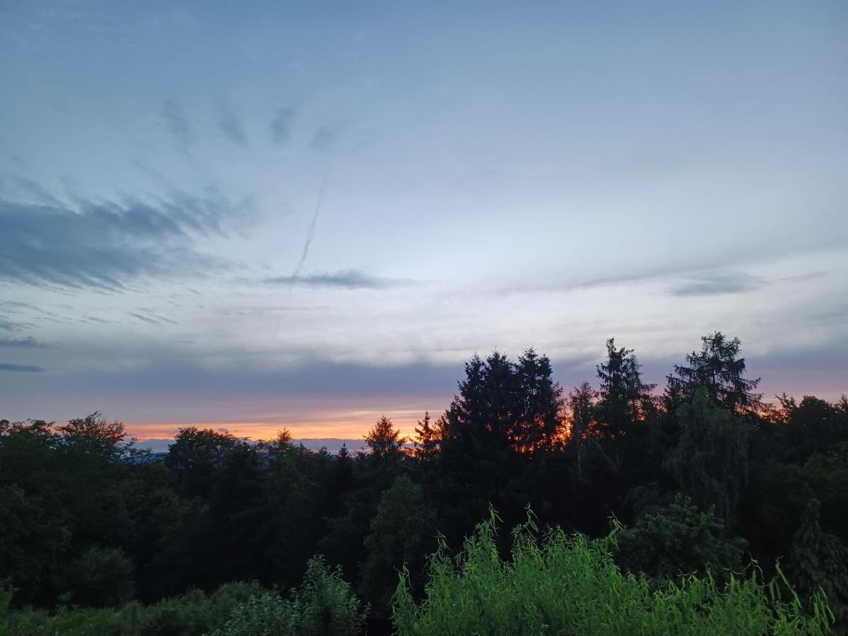 Ferienwohnung Am Sendberg Frielendorf Luaran gambar