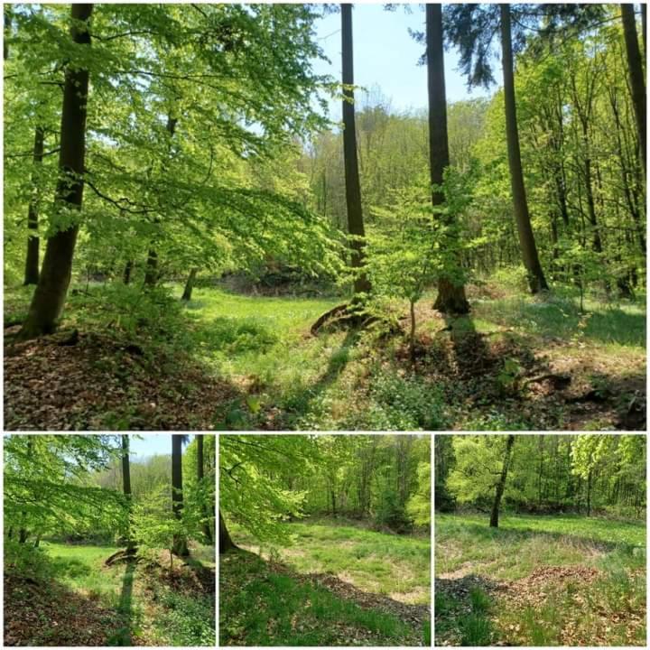 Ferienwohnung Am Sendberg Frielendorf Luaran gambar