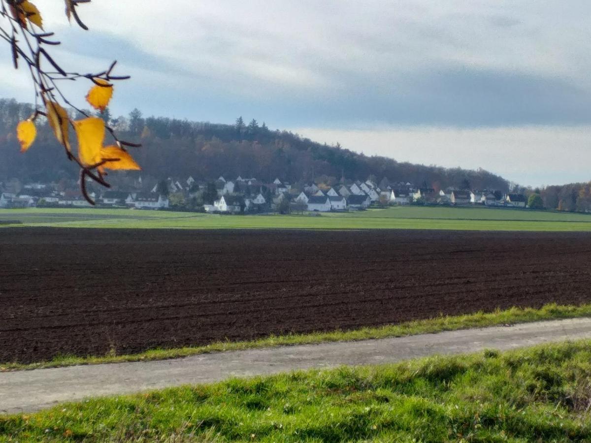 Ferienwohnung Am Sendberg Frielendorf Luaran gambar